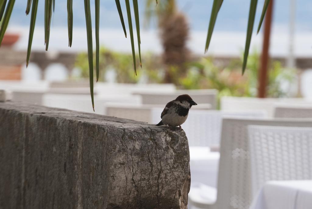 Villa Pioppi Hotel Sirmione Esterno foto